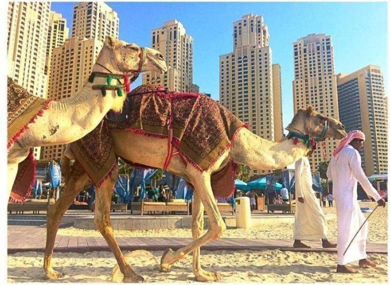 Luxury Apartments In Dubai Marina 외부 사진